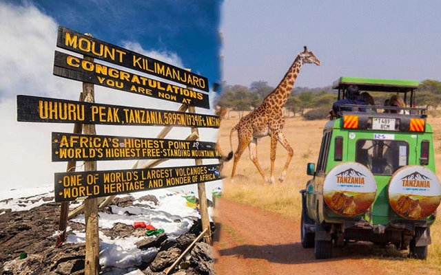  Perfect trip Including the Kilimanjaro hike Marangu route for the 5-day Kilimanjaro Maranguru route and the 2-day Tanzania Safari Experience for the best budget.