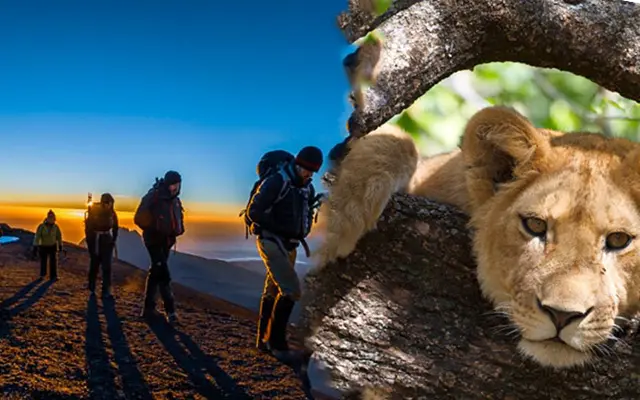 6-Day Kilimanjaro Marangu Route and 3-Day Tanzania Safari