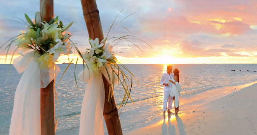 10-Day Dar es Salaam, Mikumi Safari, and Zanzibar Beach Tour: