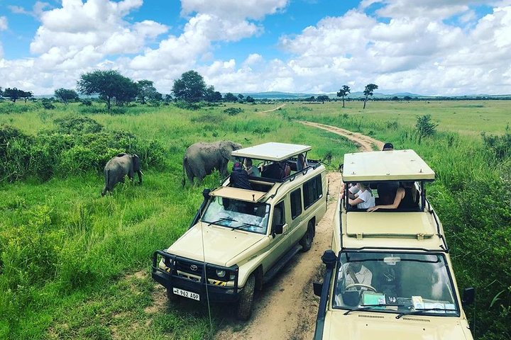 3-Day Wildlife Sharing group safari in Tanzania