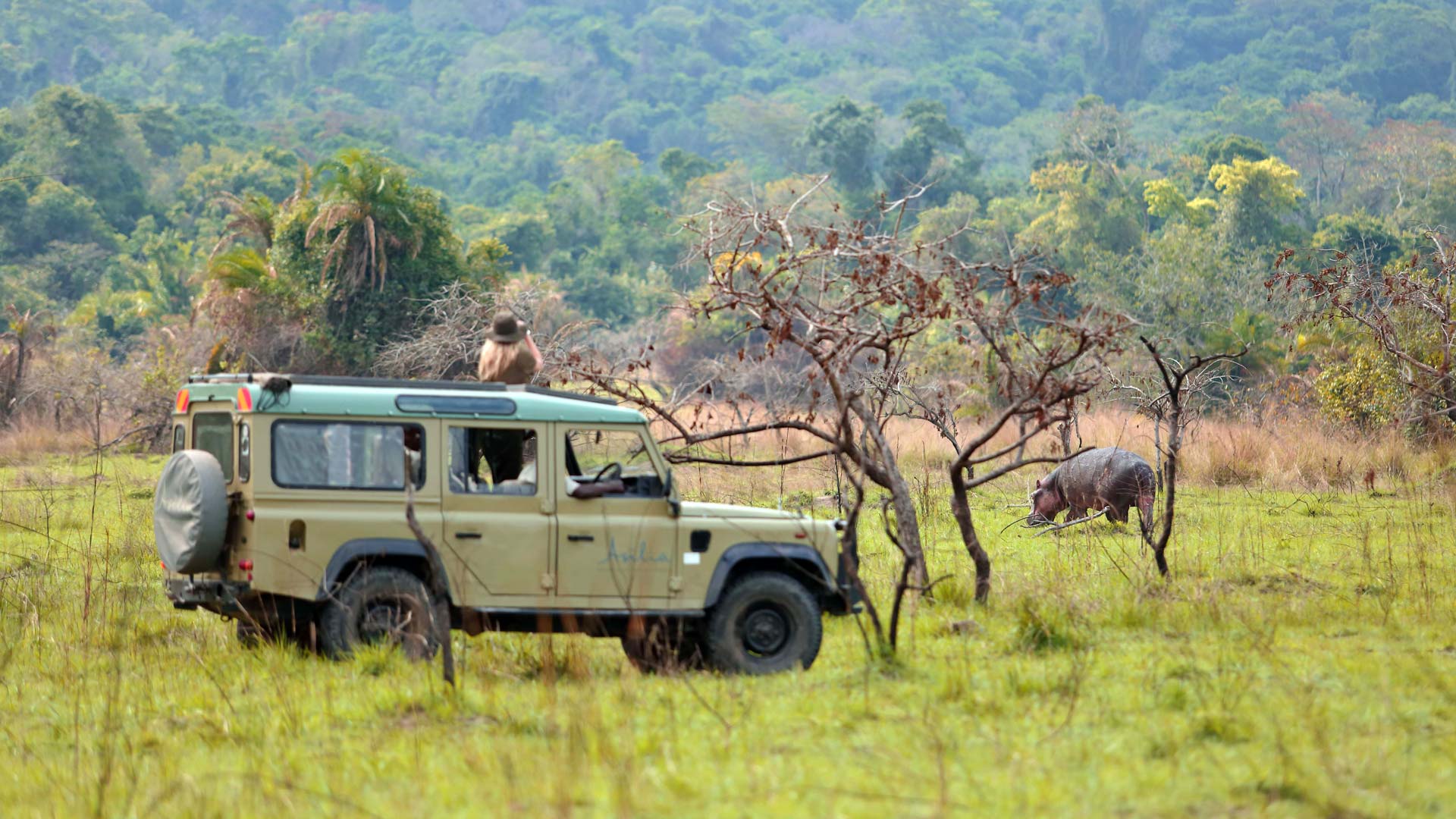 3-day from Mwanza to Rubondo island Tour Package