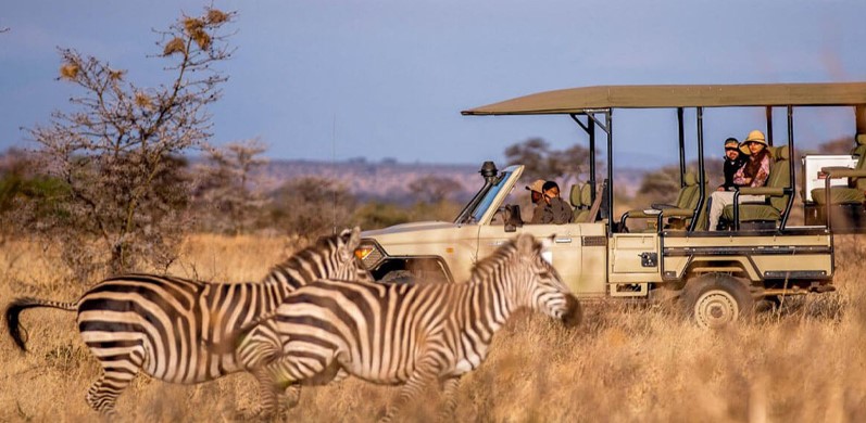 3 days Budget safari from Arusha to Tarangire, Manyara & Ngorongoro. 