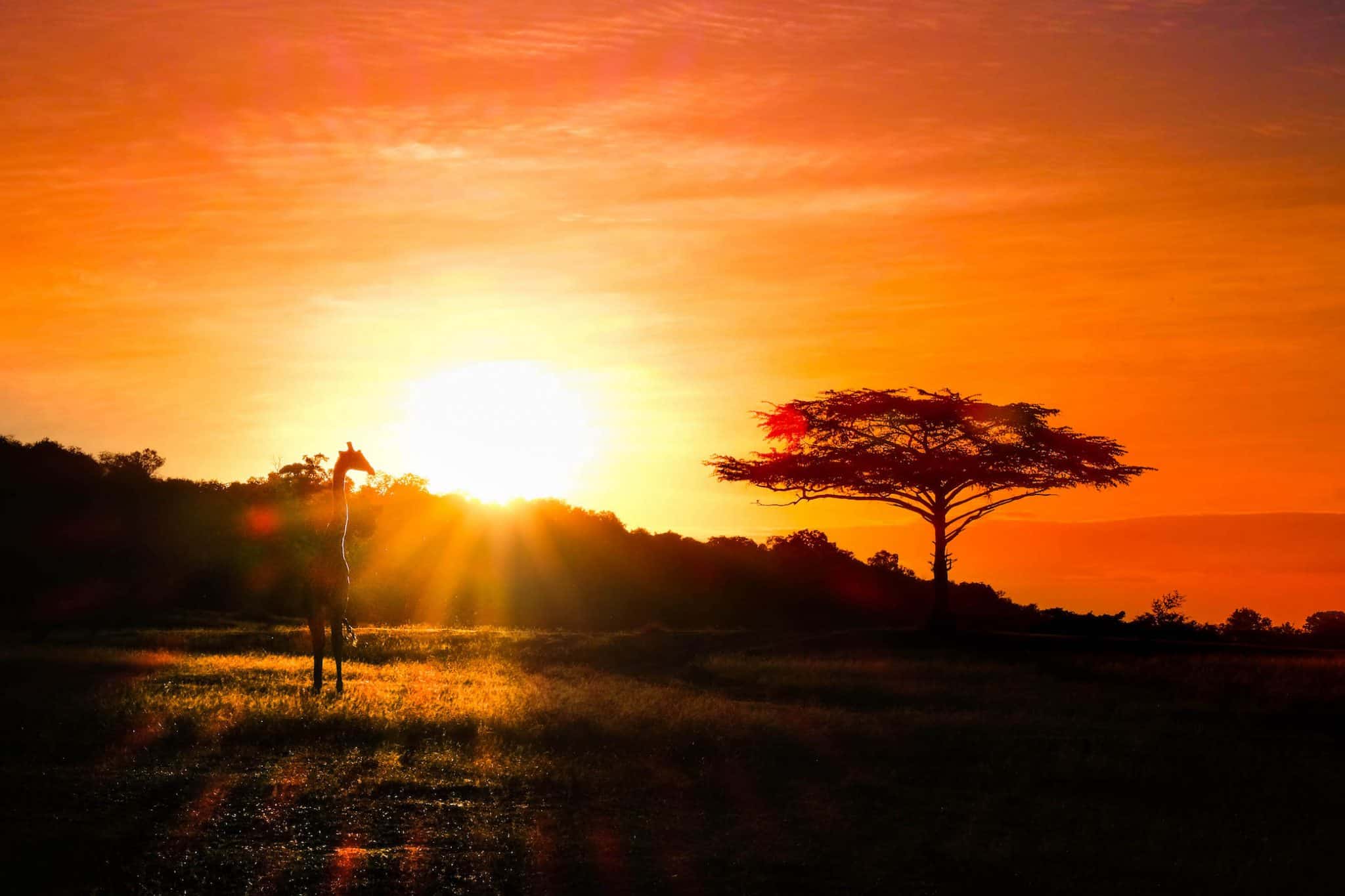 4-Day Affordable group safari packages in Tanzania