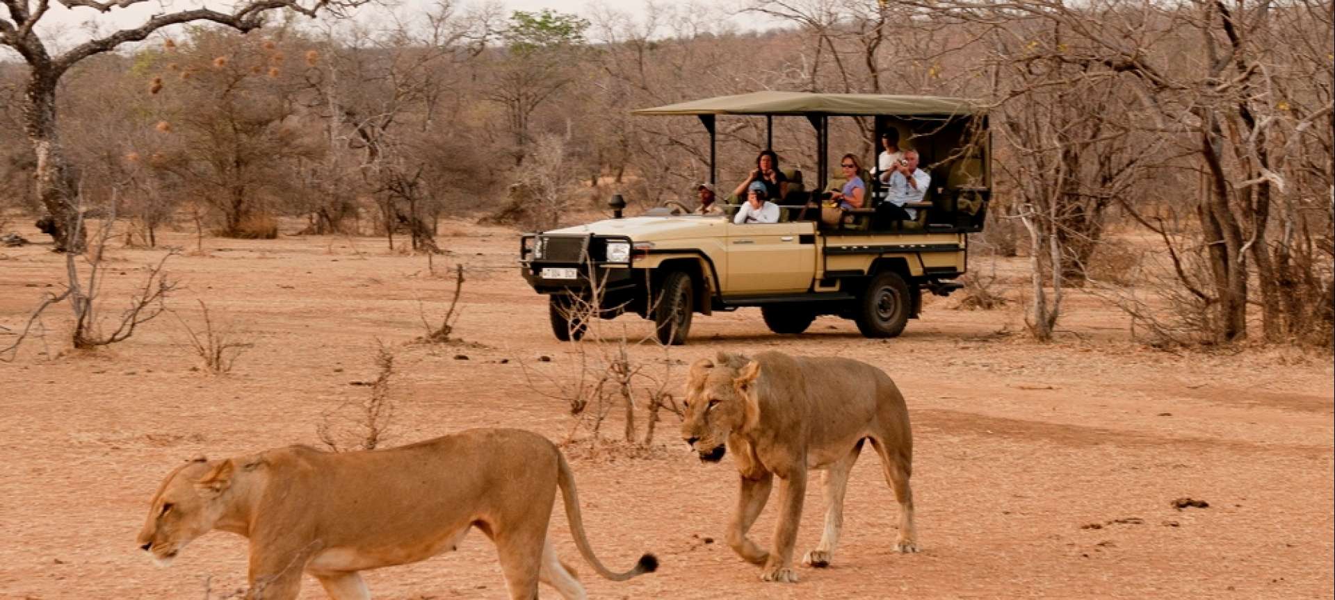 4-Day Group safari adventures in Tanzania