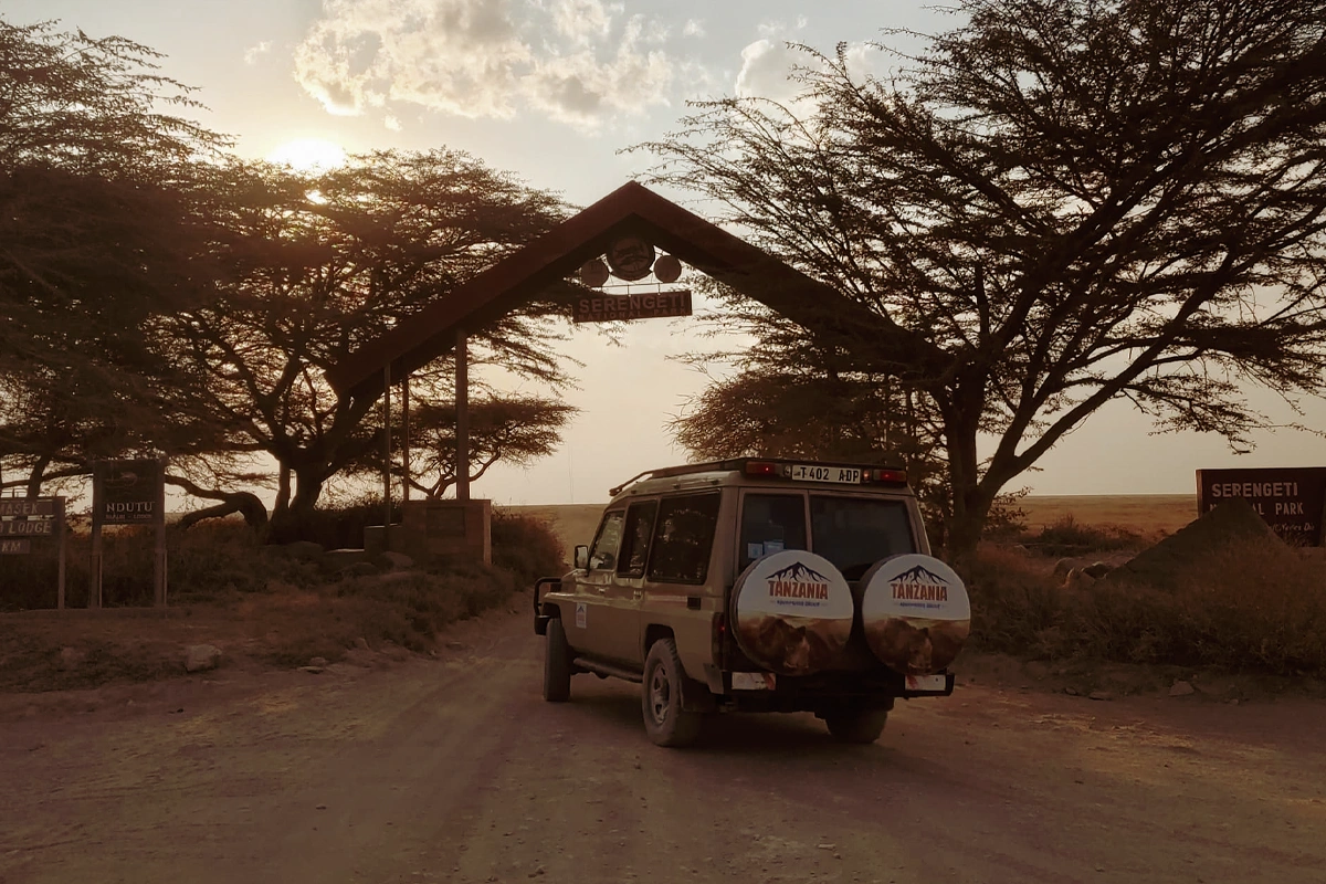 4-Day Itinerary in Tanzania Private or Group safari