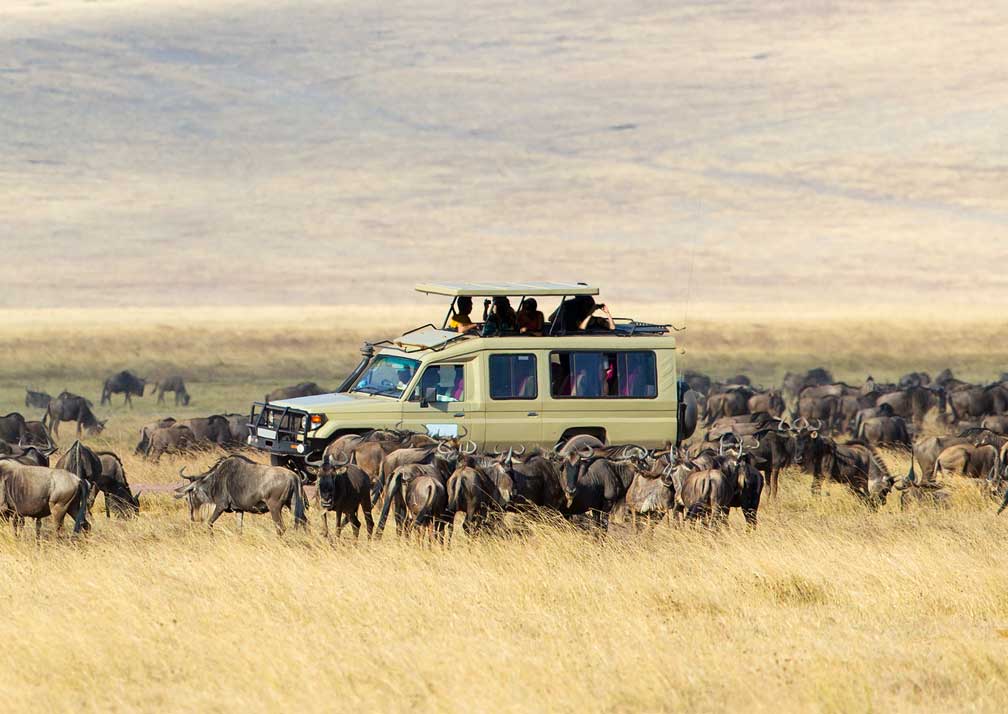 4-Day Tanzania cultural group safari experiences