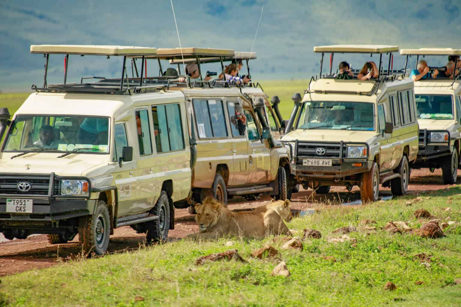 4-Day Tanzania group safari deals and promotions