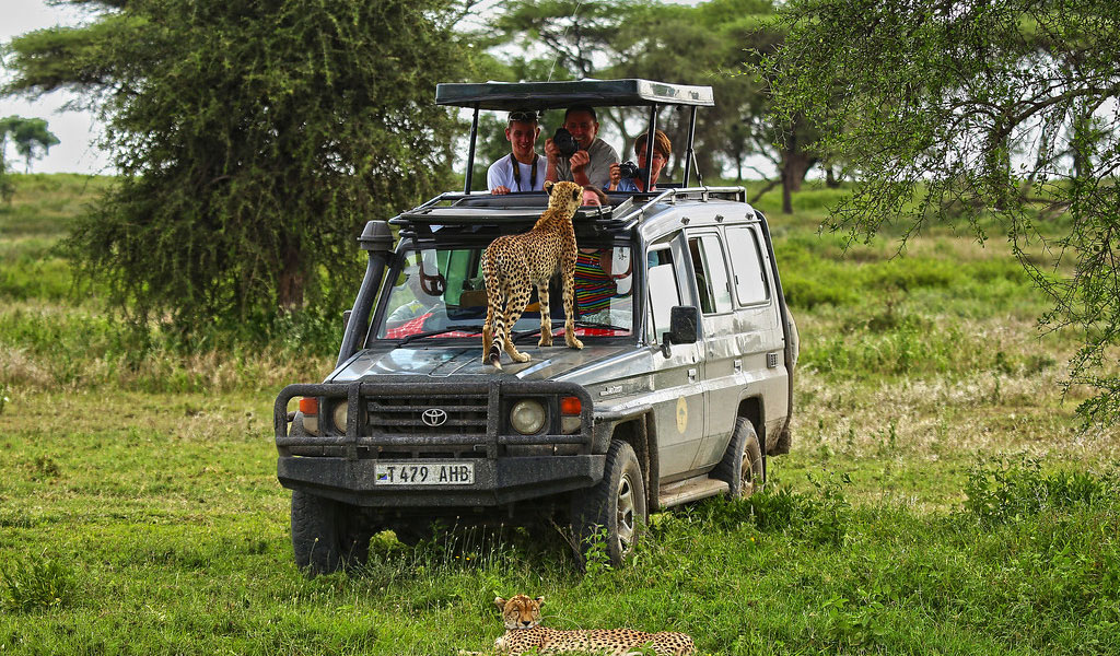4-Day Tanzania wildlife group safari trips