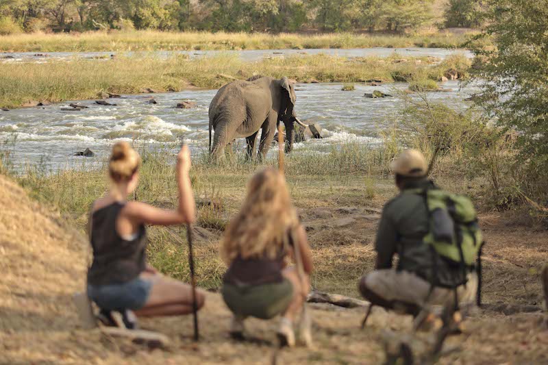 The Best 5-Day Selous and Mikumi Standard Tanzania Safari