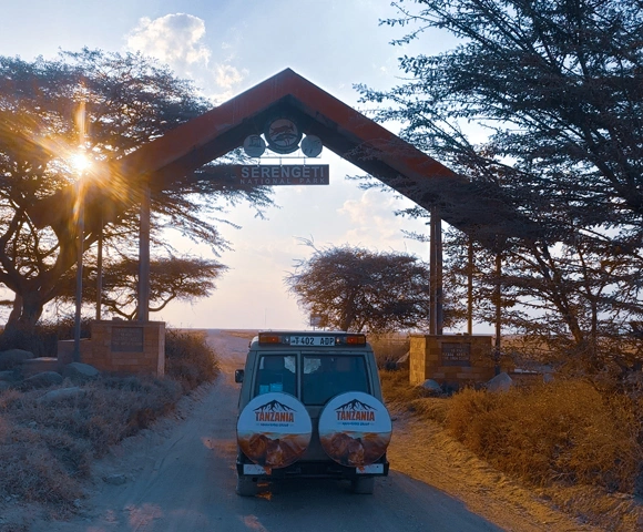 5-day Tanzania Christmas Safari Experiences