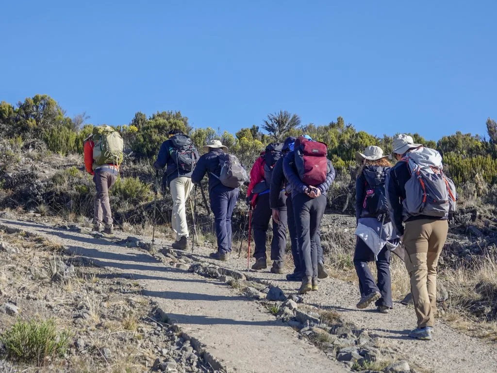 7-day Kilimanjaro trekking group sharing deals