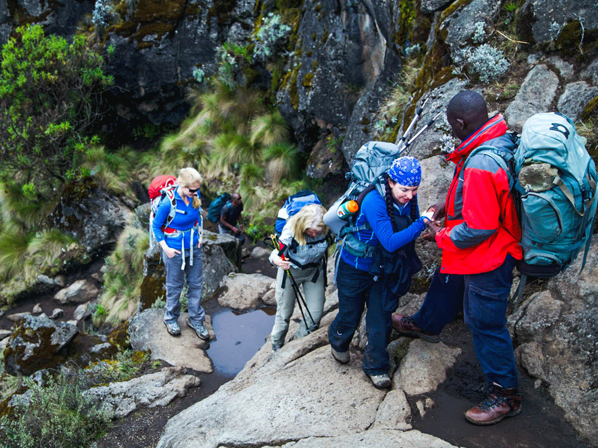  9-day Mount Kilimanjaro trek group sharing options