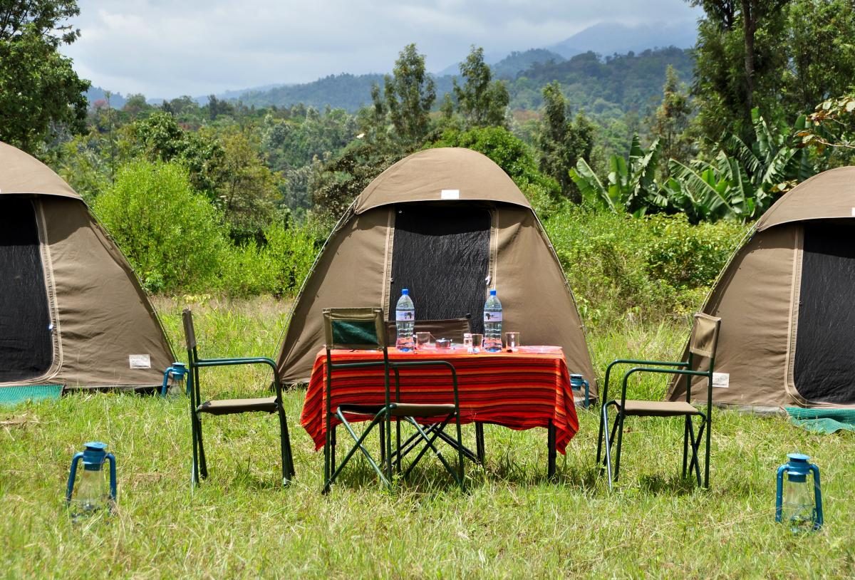 Affordable camping safari tours in Tanzania 2025