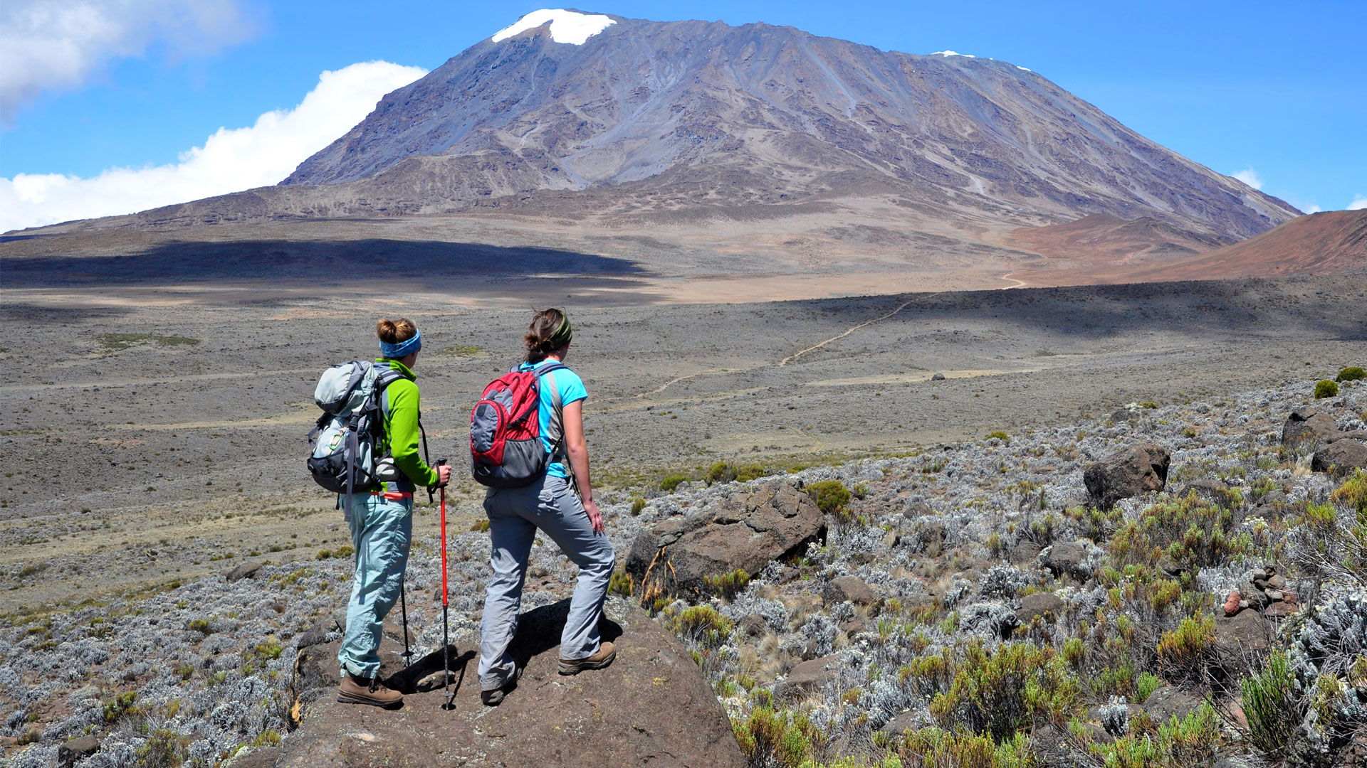 Affordable group trekking experiences on Kilimanjaro