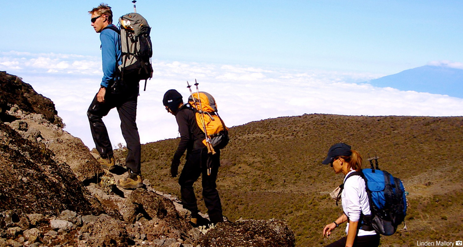 Affordable group trekking packages for Kilimanjaro