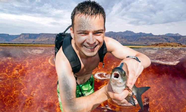Are there any fish in Lake Natron?