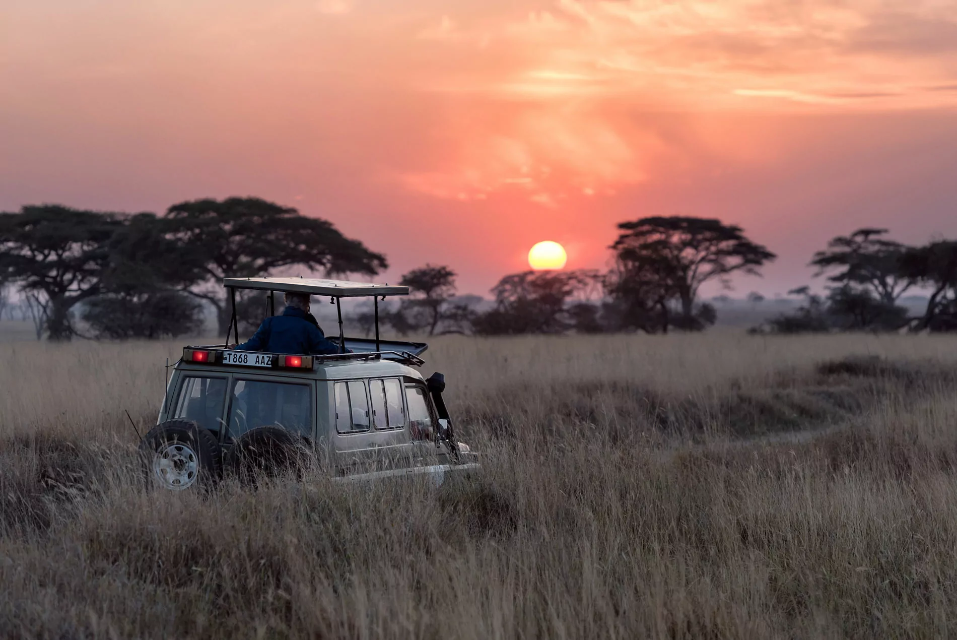 Are there night safaris in Maswa Game Reserve?
