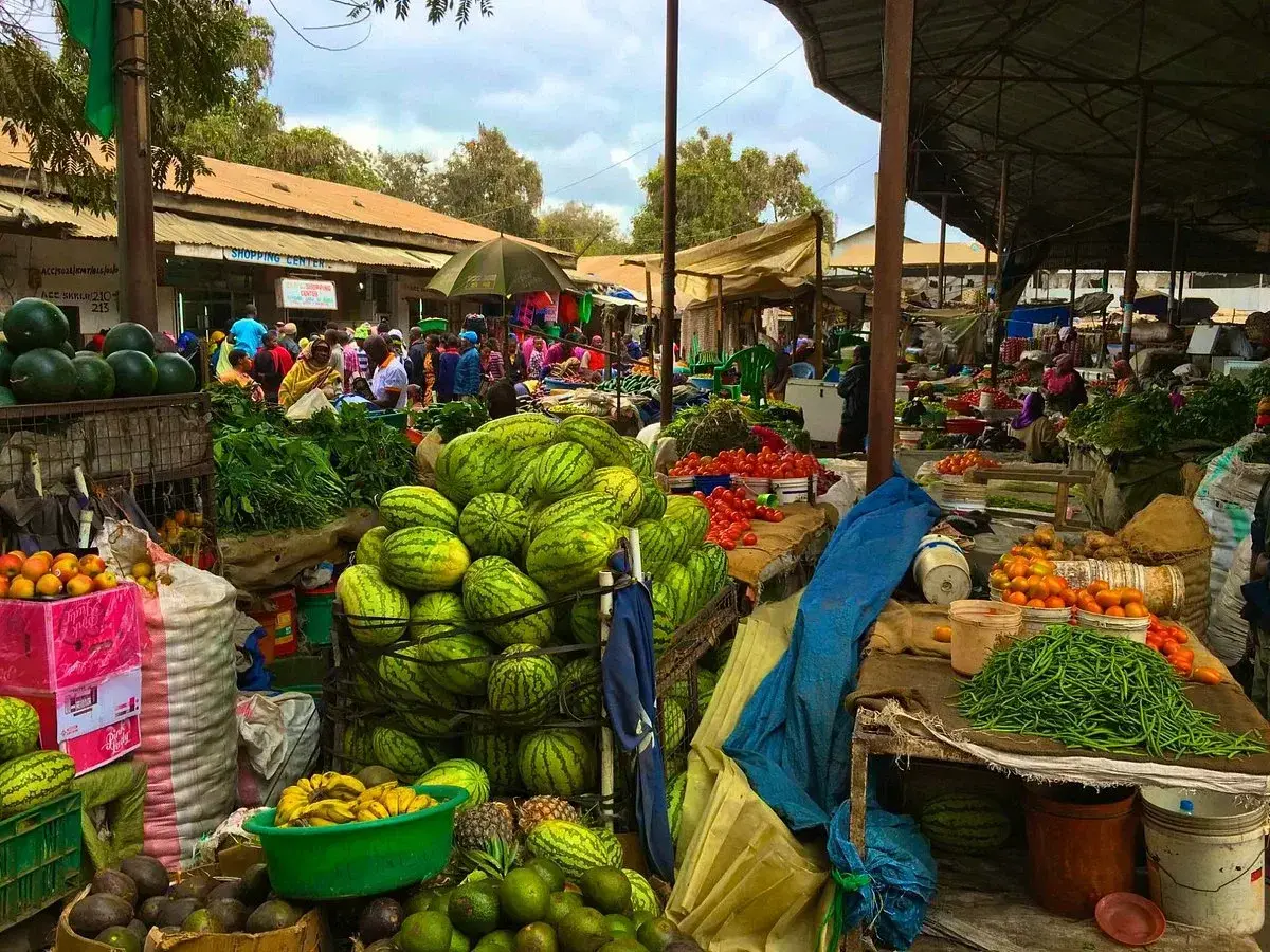 Arusha street food market tours