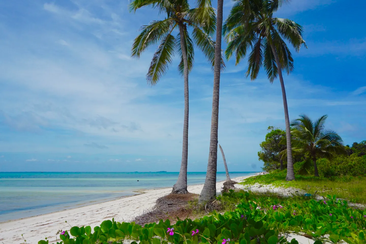 Beautiful beaches Mafia Island