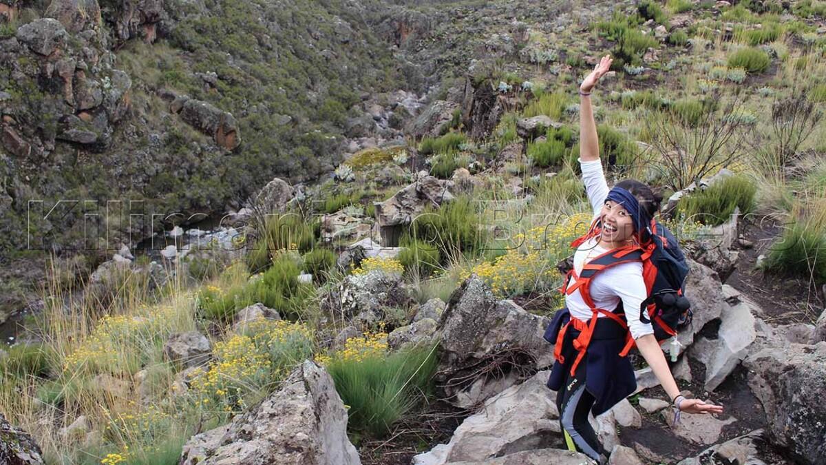 Best 8-day Kilimanjaro trekking group deals