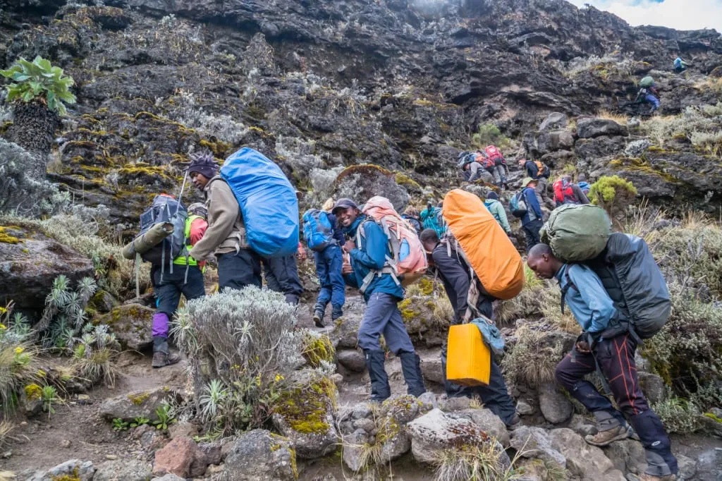 Best Kilimanjaro trekking luxury camp
