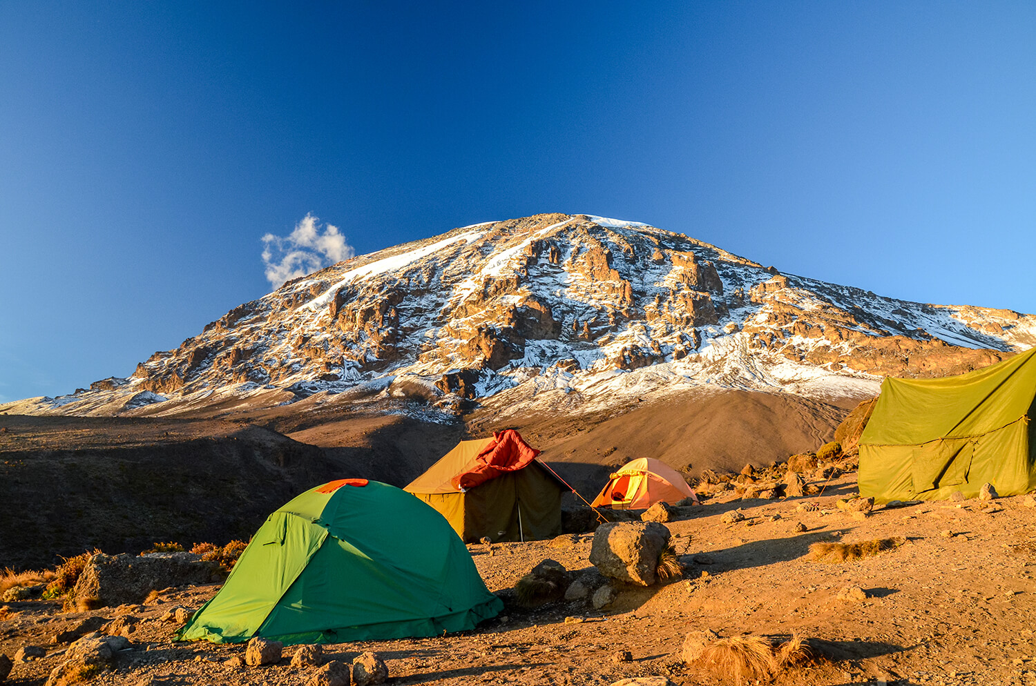 Best luxury Northern Circuit Kilimanjaro climb