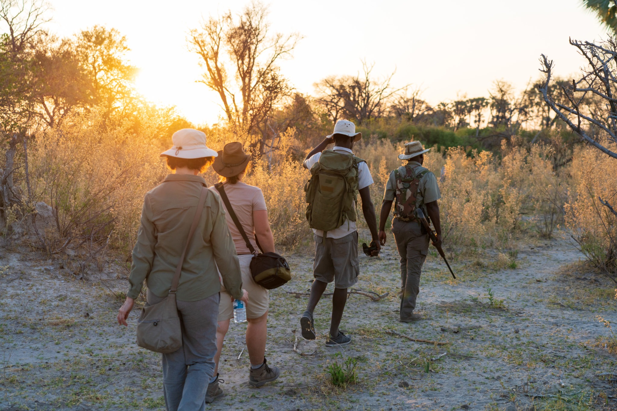 Can I do a guided walking safari in Tanzania?