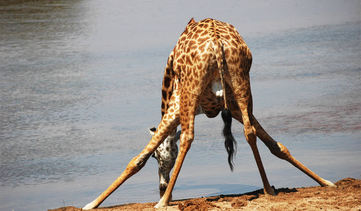 Can I do a photographic safari in Katavi National Park?