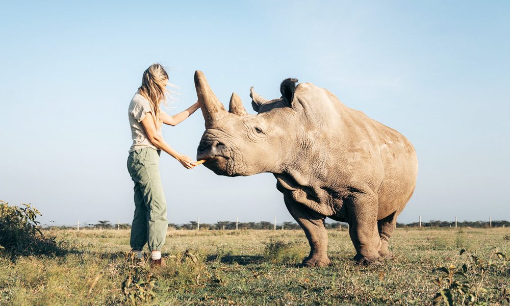 Can I do a safari in Tanzania and Kenya together?