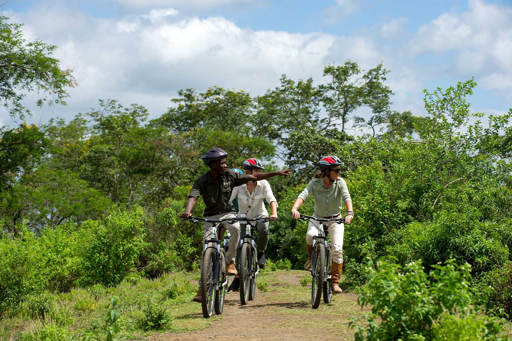 Can I explore Mikumi National Park on a bicycle?