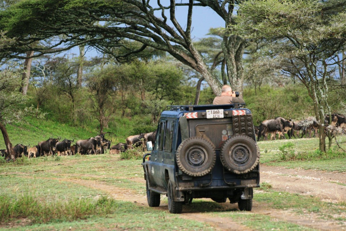 Can I go on a self-drive safari in Ndutu?