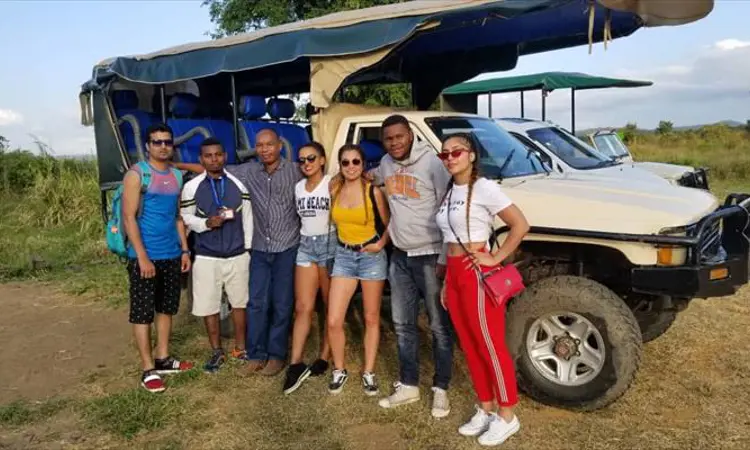 Can I join a group safari to Mikumi National Park?