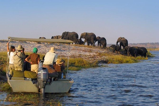Can I take a boat safari in Nyerere National Park?