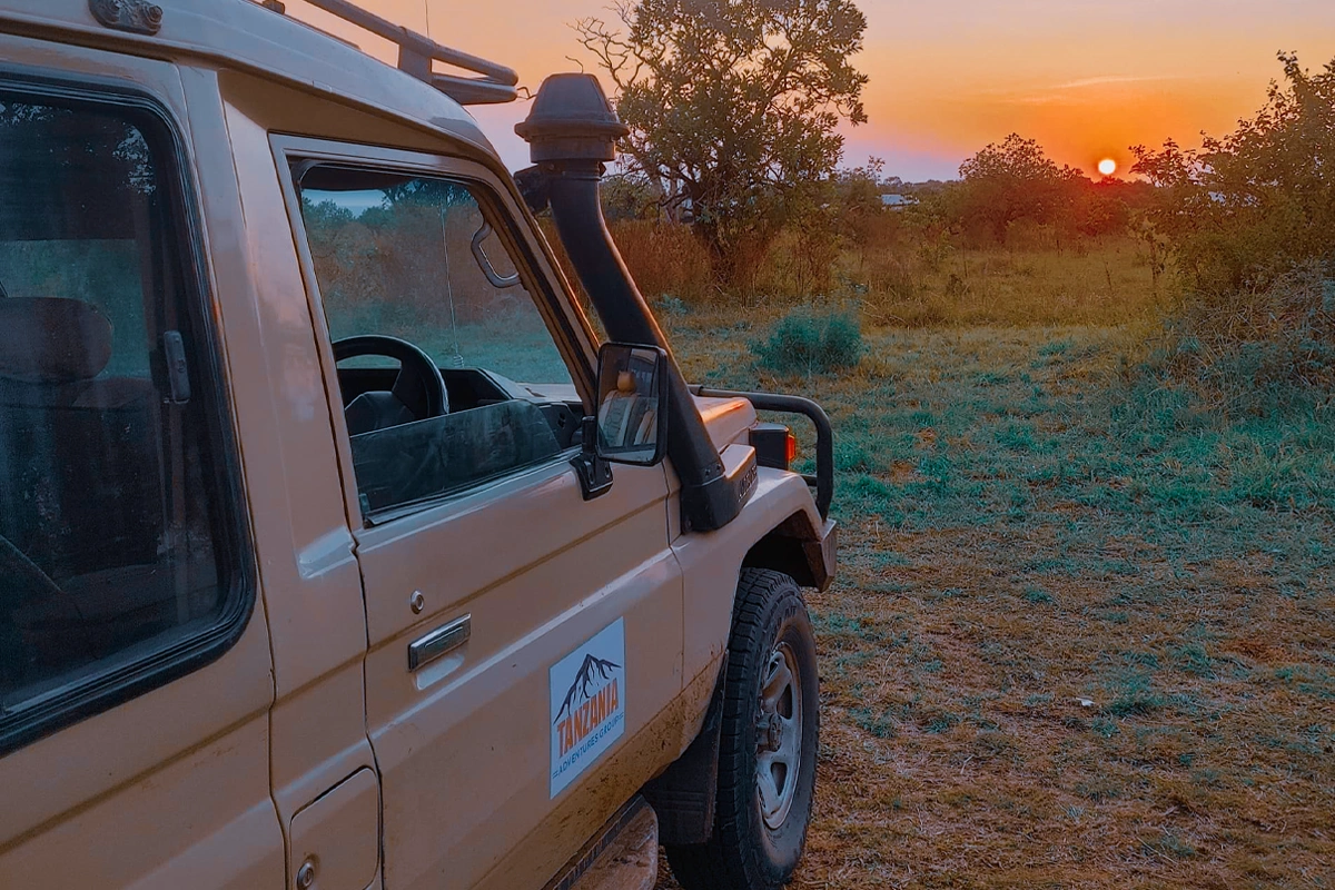 Compare price for 4-Day Tanzania Private Safari or Group Safari