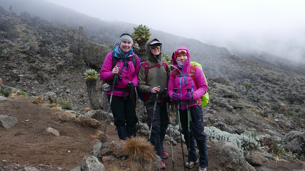 Custom Kilimanjaro trek for small groups