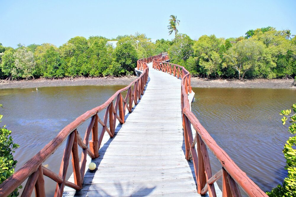 Day trips from Dar es Salaam to Mikumi