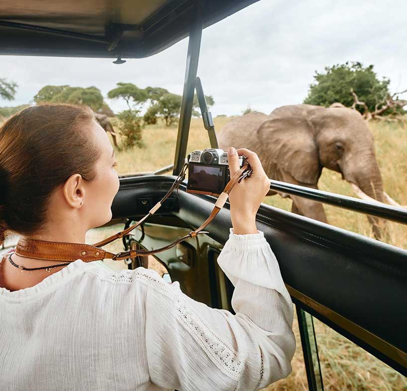 Discount Tanzania safari tours, Discounted safari adventure