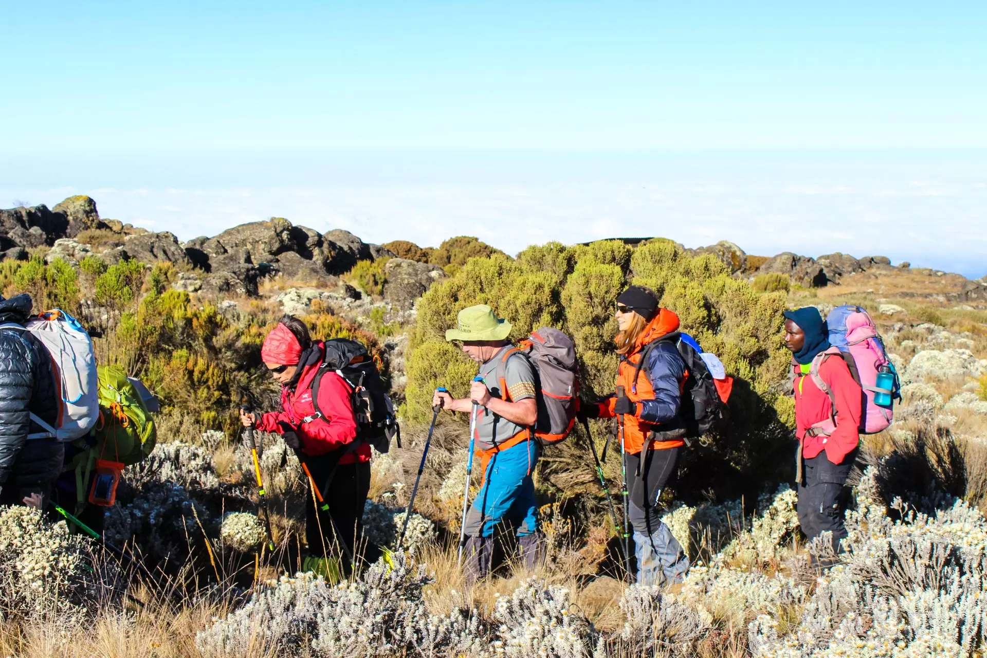 Easy Kilimanjaro joining group hike