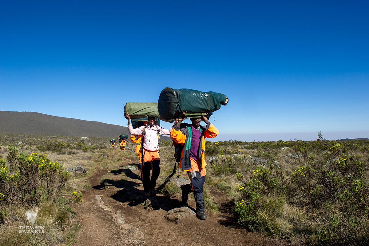 Eco-friendly Kilimanjaro group trekking
