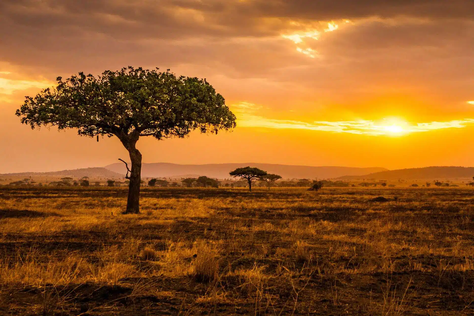 Essential information for Tanzania travel guide