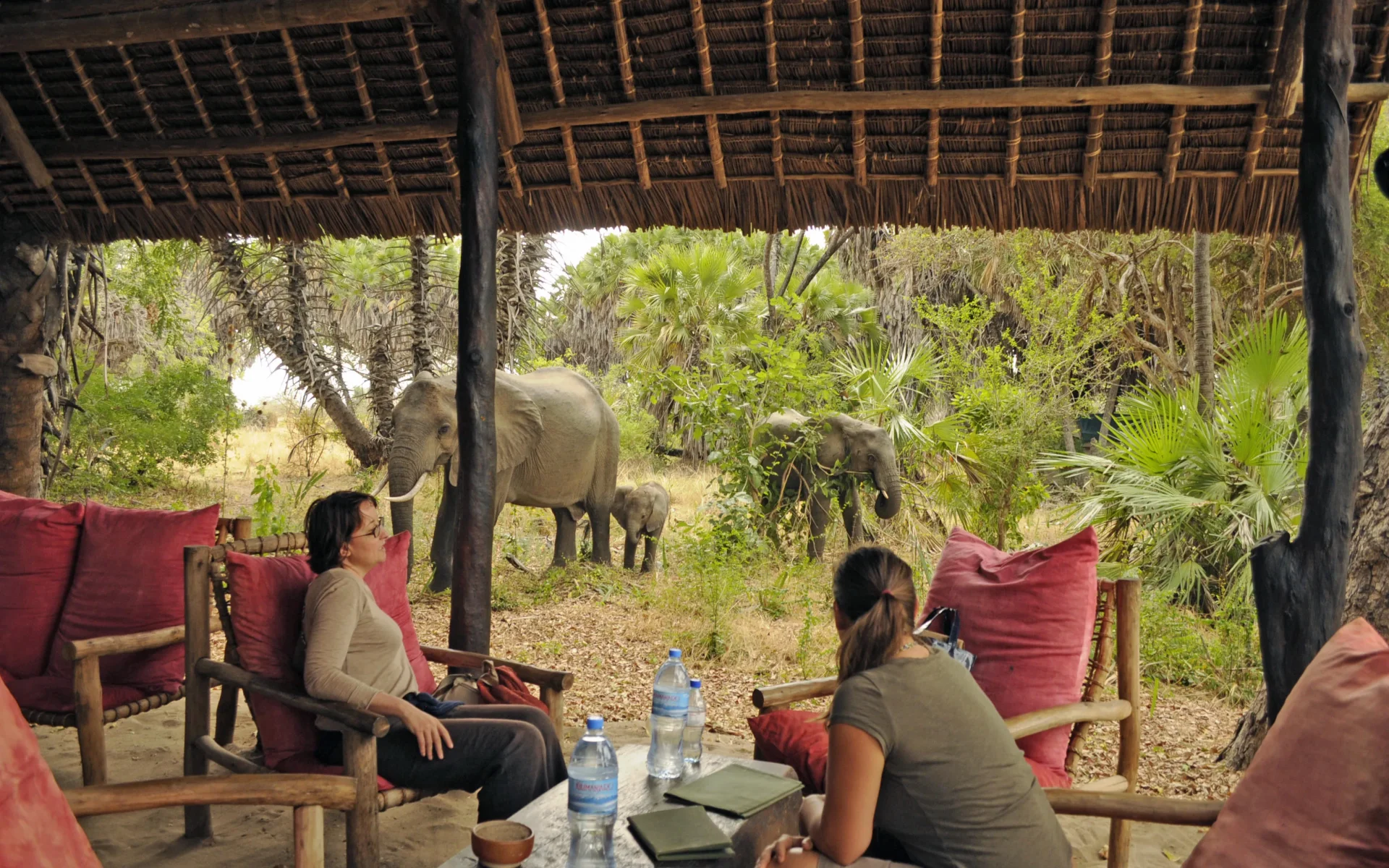 Ethical wildlife encounters in Tanzania