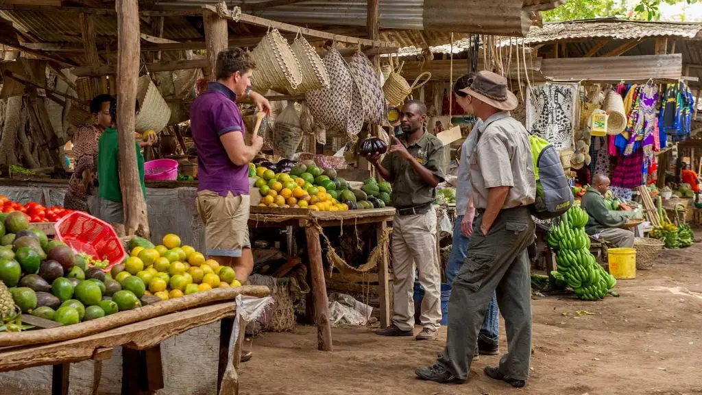 Explore the Best Things to Do in Mto Wa Mbu, Arusha