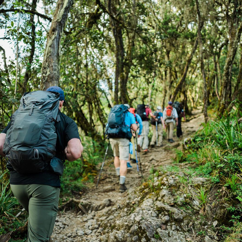 Group Kilimanjaro Climbing July to August