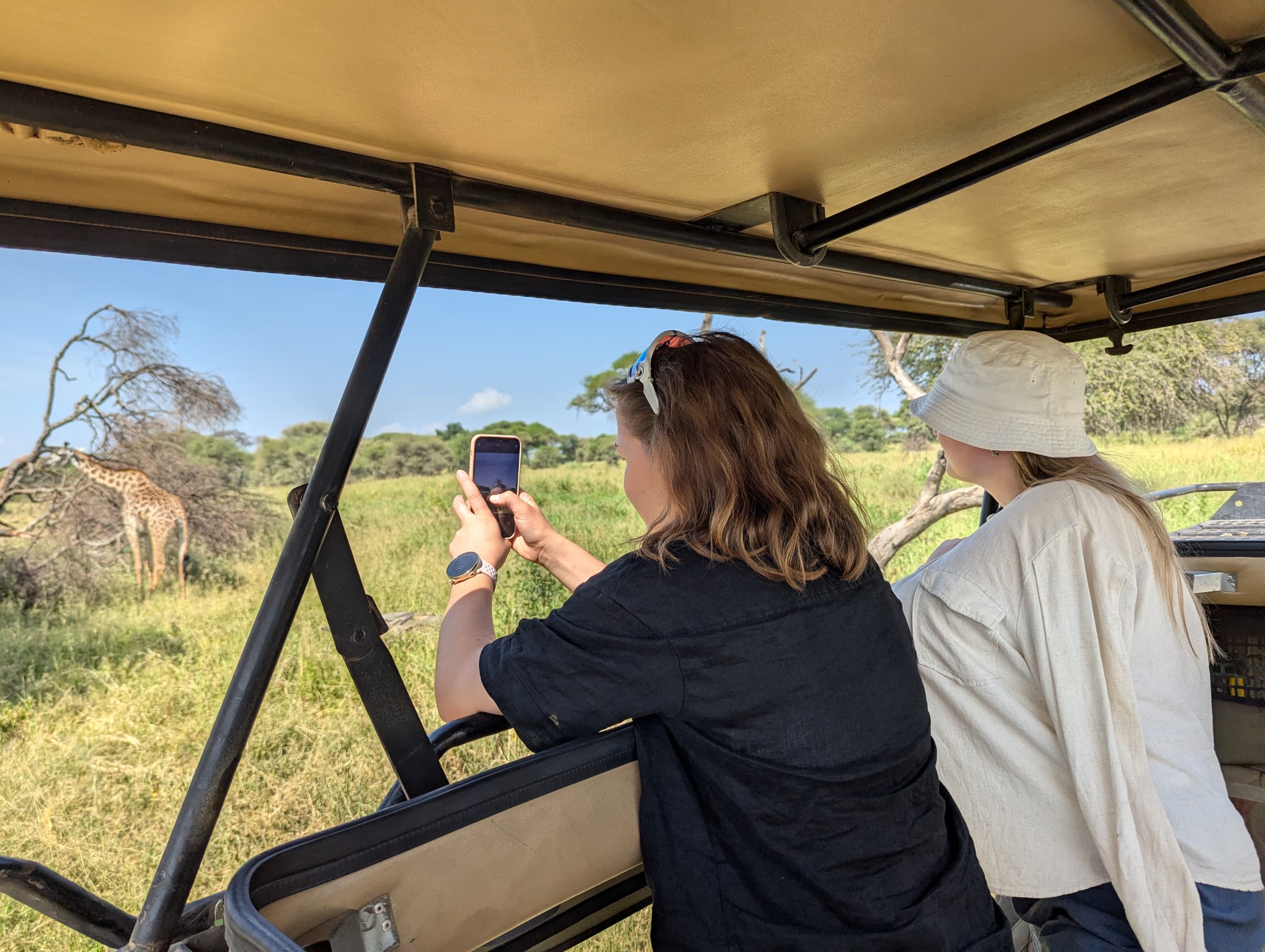 Group safari tours in Arusha