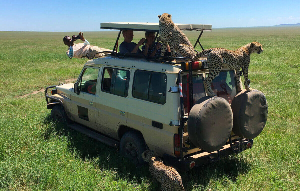 Grumeti Serengeti travel guide, Hot air balloon safaris