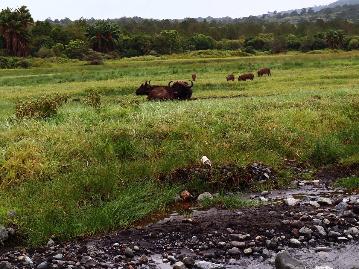 Ultimate Guide to Livingstone Mountain, Tanzania