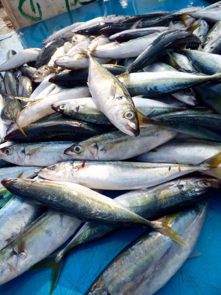 Guide to Sahare fish market-Tanga