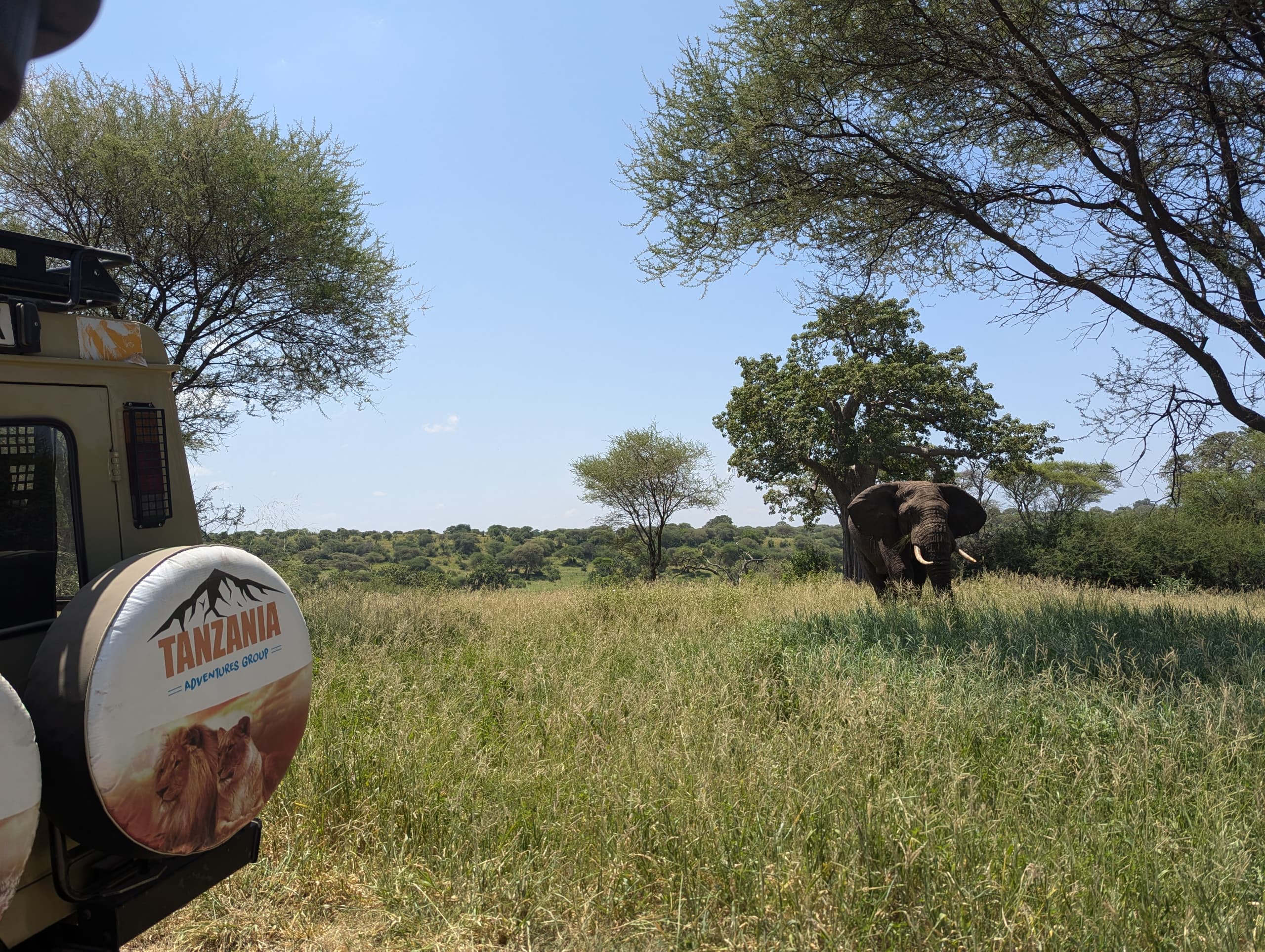 Hot air balloon safari near Arusha
