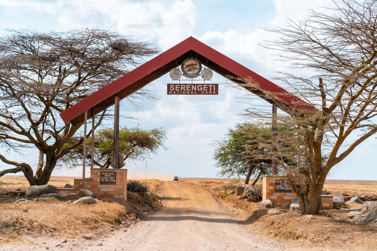 How do I get from Dar es Salaam to the Serengeti?