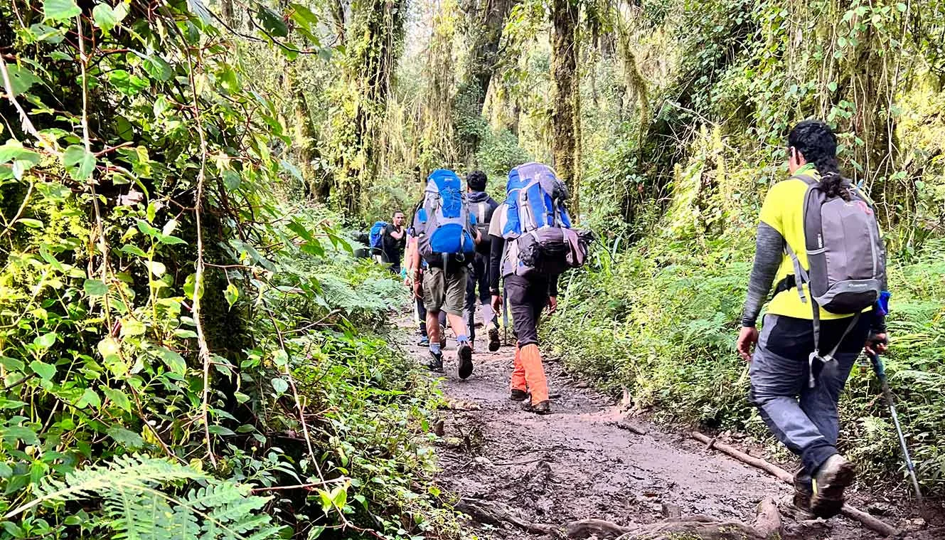 How do I recover after a luxury in Kilimanjaro trek?